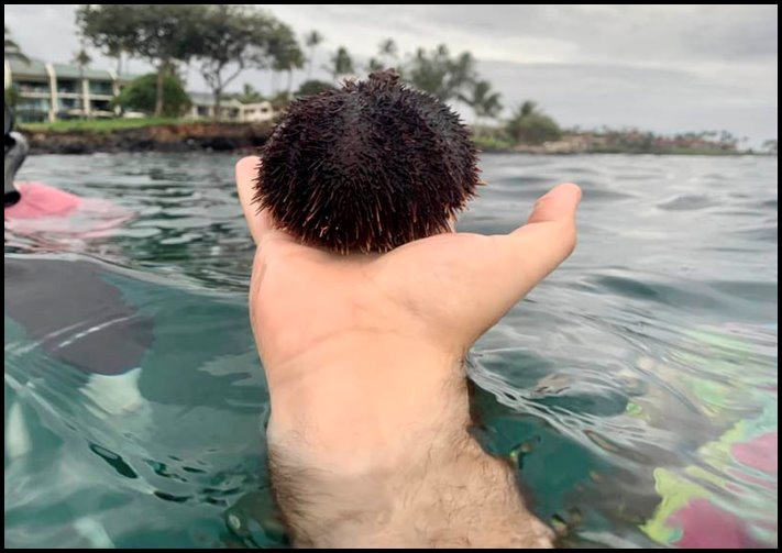 17 կադր, որոնք իրապես կարող են շփոթեցնել նրանց, ովքեր չգիտեն, թե ինչ է կատարվում կուլիսներում