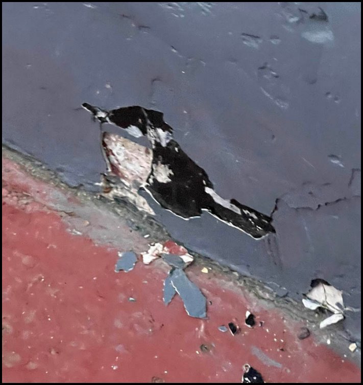 16 զարմանալիորեն տեղին զուգադիպություններ՝ որպես օրինակ, որ տիեզերքը երբեմն կարող է զվարճանալ