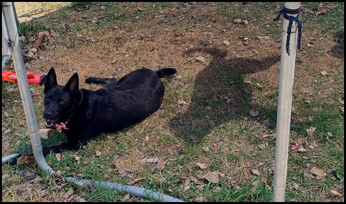 17 կադր, որոնք իրապես կարող են շփոթեցնել նրանց, ովքեր չգիտեն, թե ինչ է կատարվում կուլիսներում