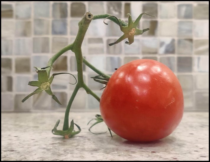 16 զարմանալիորեն տեղին զուգադիպություններ՝ որպես օրինակ, որ տիեզերքը երբեմն կարող է զվարճանալ