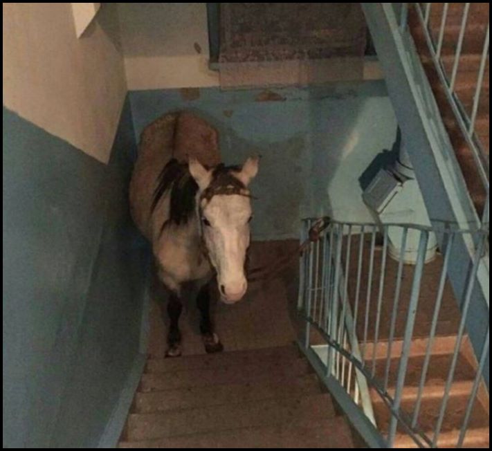 Շշմեցնող մուտքերի 20 օրինակ։ Իրավիճակ, որը, բարեբախտաբար, սովորական չէ