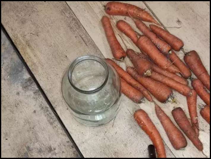 Ինչպես եմ գազարը պահում տարայի մեջ ձմռանը։ Թարմ է մնում ամբողջ ձմեռ: Կիսվում եմ իմ փորձով