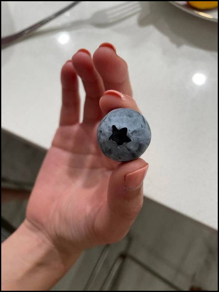 14 դեպք, երբ մարդիկ բախվել են ինչ-որ մեծ բանի՝ անմիջապես լուսանկարելով այն