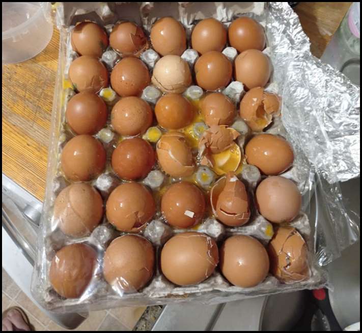10 ձախորդ վարպետներ, որոնց ձեռքերն ակնհայտորեն սխալ տեղից են աճում