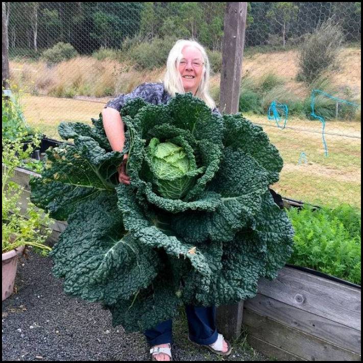 14 դեպք, երբ մարդիկ բախվել են ինչ-որ մեծ բանի՝ անմիջապես լուսանկարելով այն