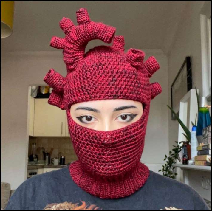 Շատ խենթ բաների 17 օրինակ, բայց պետք է հարգանքի տուրք մատուցել դրանց կատարման որակին