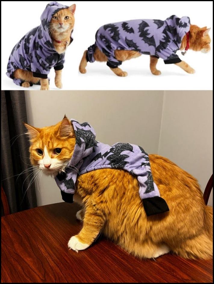 15 դեպք, երբ գնումներից և պատվերներից սպասելիքները բախվեցին դաժան իրականության հետ