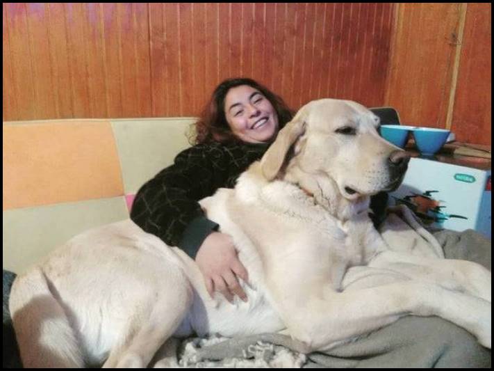 14 դեպք, երբ մարդիկ բախվել են ինչ-որ մեծ բանի՝ անմիջապես լուսանկարելով այն