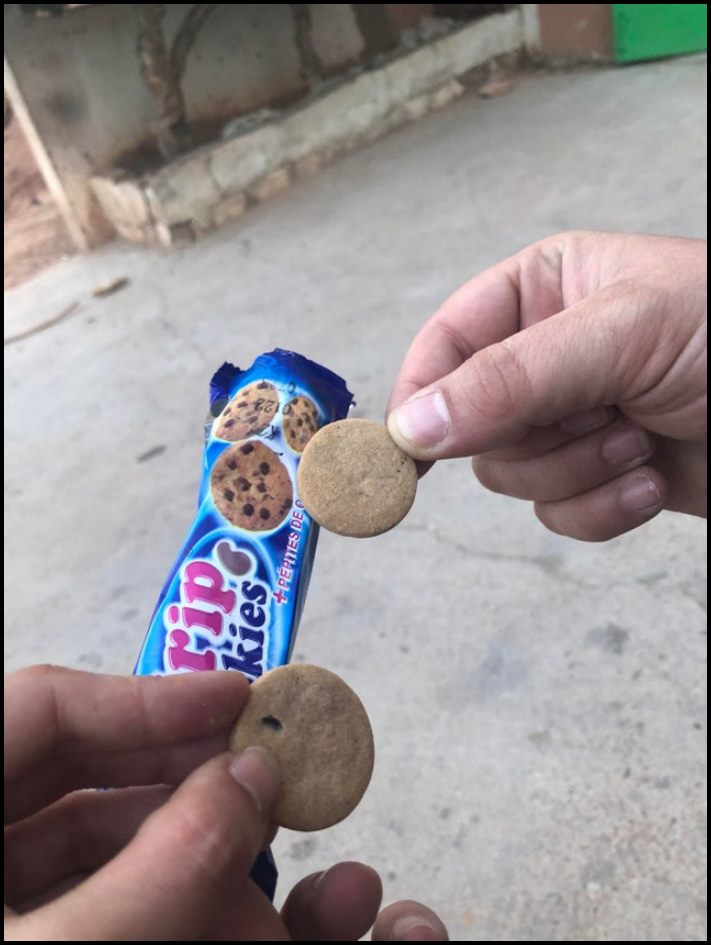 15 դեպք, երբ գնումներից և պատվերներից սպասելիքները բախվեցին դաժան իրականության հետ