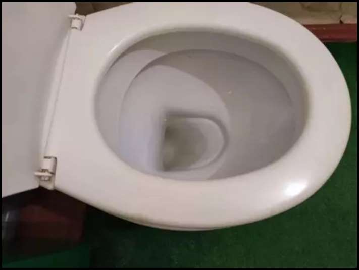 Ինչու եմ զուգարանի թուղթը թրջում քացախի մեջ