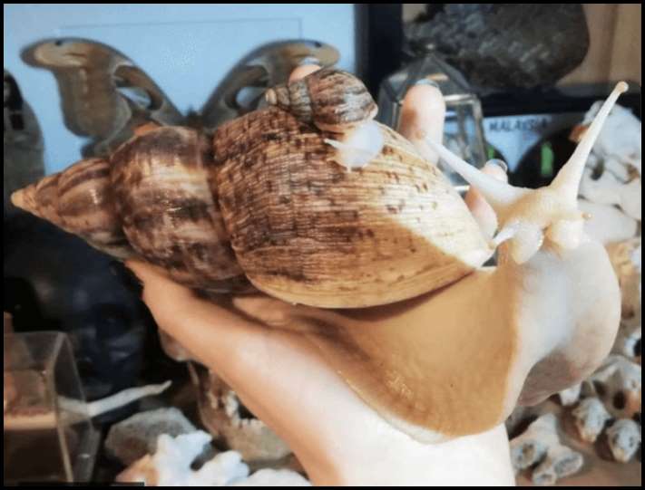 14 դեպք, երբ մարդիկ բախվել են ինչ-որ մեծ բանի՝ անմիջապես լուսանկարելով այն