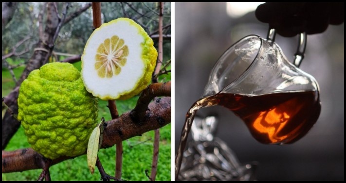 10 ապրանք, որոնք անցել են տրանսֆորմացիայի երկար գործընթաց՝ մինչև վաճառասեղանին հայտնվելը