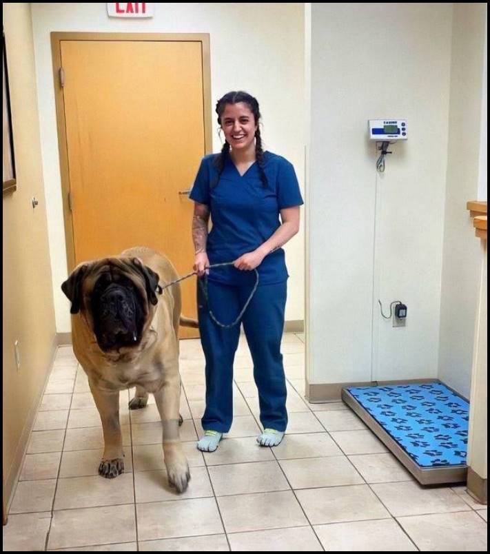 14 դեպք, երբ մարդիկ բախվել են ինչ-որ մեծ բանի՝ անմիջապես լուսանկարելով այն