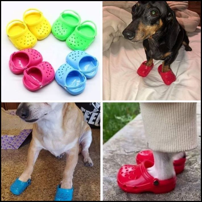 Շատ խենթ բաների 17 օրինակ, բայց պետք է հարգանքի տուրք մատուցել դրանց կատարման որակին