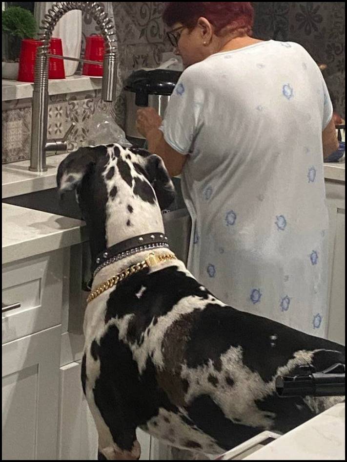 14 դեպք, երբ մարդիկ բախվել են ինչ-որ մեծ բանի՝ անմիջապես լուսանկարելով այն