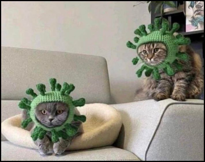 Շատ խենթ բաների 17 օրինակ, բայց պետք է հարգանքի տուրք մատուցել դրանց կատարման որակին