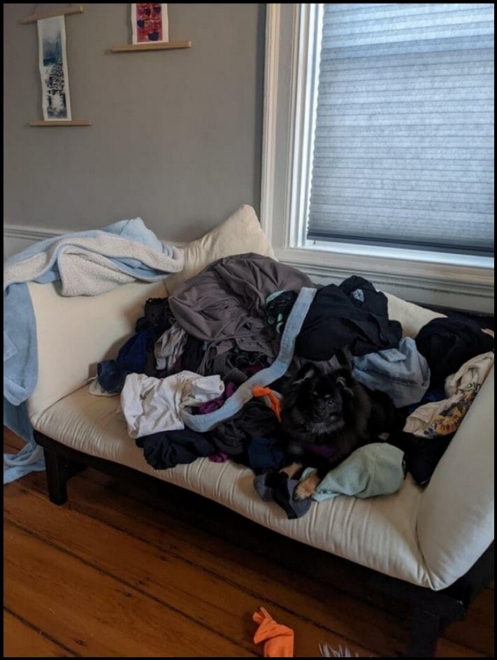 11 օրինակներ, թե ինչպես կարող են մարդիկ, կենդանիները և նույնիսկ առարկաները քողարկումներ կիրառել