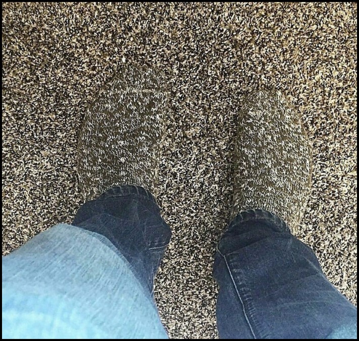 11 օրինակներ, թե ինչպես կարող են մարդիկ, կենդանիները և նույնիսկ առարկաները քողարկումներ կիրառել