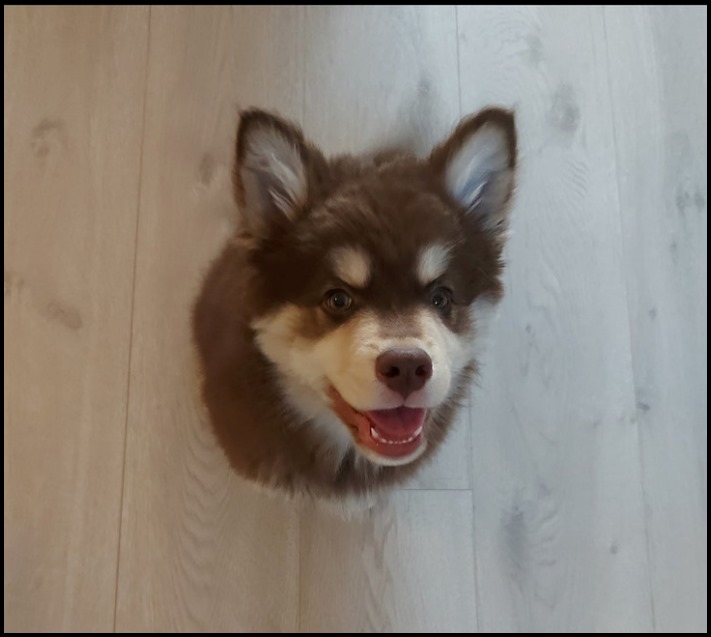 20 նկար, որոնք մեզ ավելի շատ են շփոթեցրել, քան 5-րդ դասարանի հանրահաշվի դասագիրքը