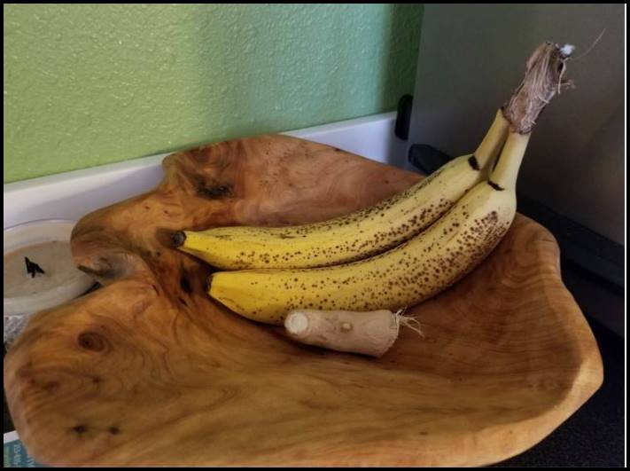 14 դեպք, երբ բնությունը բանջարեղենից ու մրգերից ինչ-որ նոր բան և դրանց դեմք ավելացրեց
