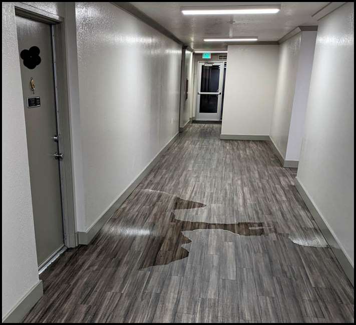 16 կադր կյանքից, որոնք պատկերում են այնպիսի դրամա, որի մասին սերիալի սցենարիստները չէին էլ երազել