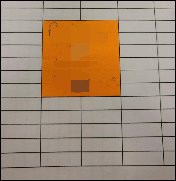 20 իրական լուսանկար, որոնք կուրախացնեն աչքը, հիմնականում՝ պերֆեկցիոնիզմի սիրահարներին