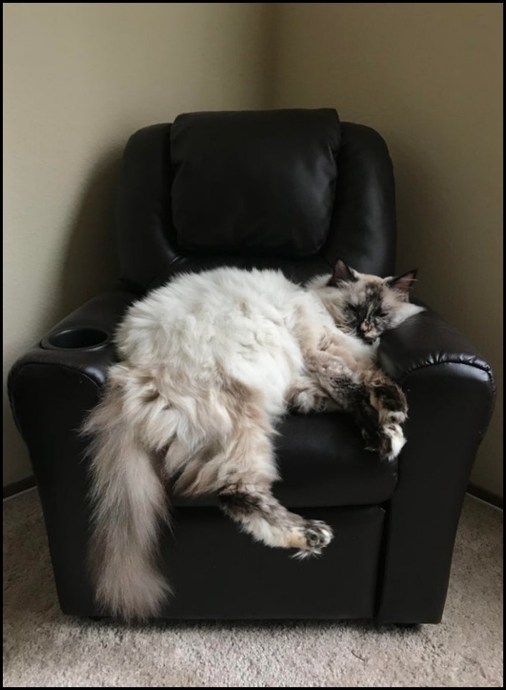 20 նկար, որոնք մեզ ավելի շատ են շփոթեցրել, քան 5-րդ դասարանի հանրահաշվի դասագիրքը