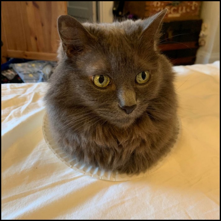 20 նկար, որոնք մեզ ավելի շատ են շփոթեցրել, քան 5-րդ դասարանի հանրահաշվի դասագիրքը