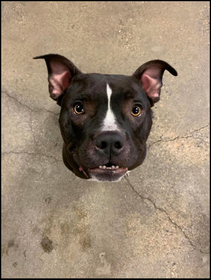 20 նկար, որոնք մեզ ավելի շատ են շփոթեցրել, քան 5-րդ դասարանի հանրահաշվի դասագիրքը