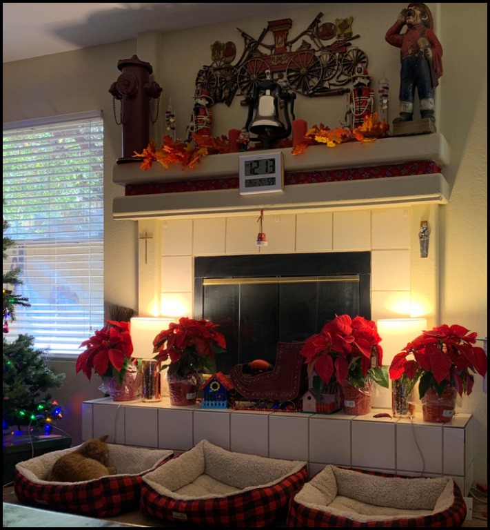 20 իրական լուսանկար, որոնք կուրախացնեն աչքը, հիմնականում՝ պերֆեկցիոնիզմի սիրահարներին