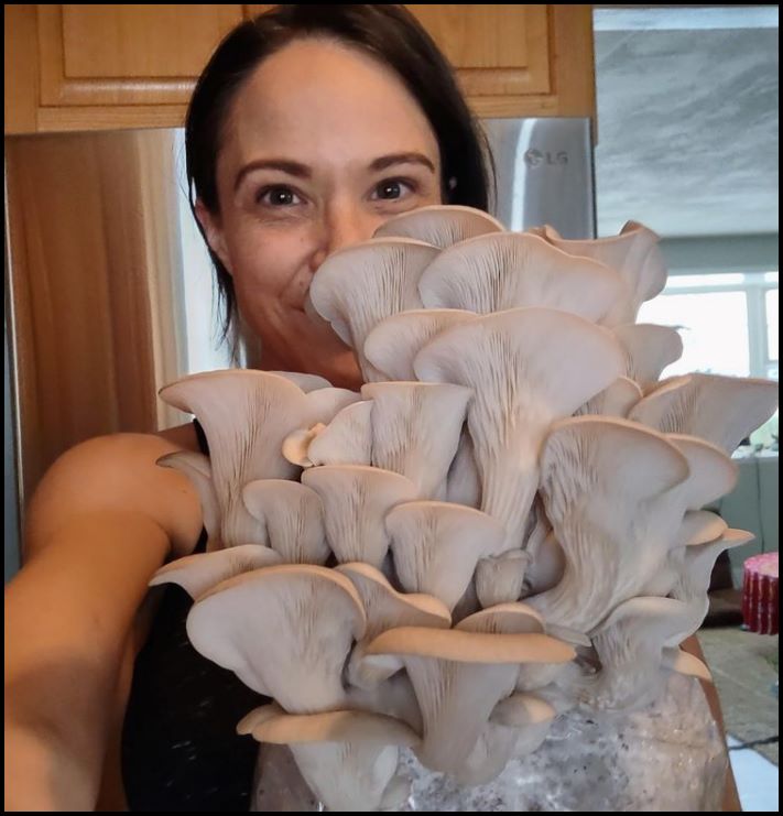 Սնկերի 17 օրինակ, երբ մարդիկ գտել են շատ հետաքրքիր ներկայացուցիչներ, որոնք նման են ժողովրդական լեգենդների որոշ կերպարների
