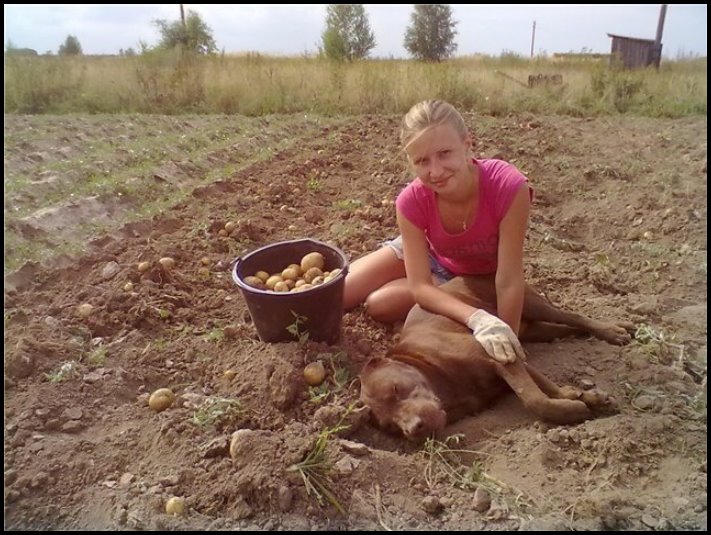 Ինչ է իրենից ներկայացնում բնօրինակ բնական գեղեցկությունը։ 18 զարմանալի կադր