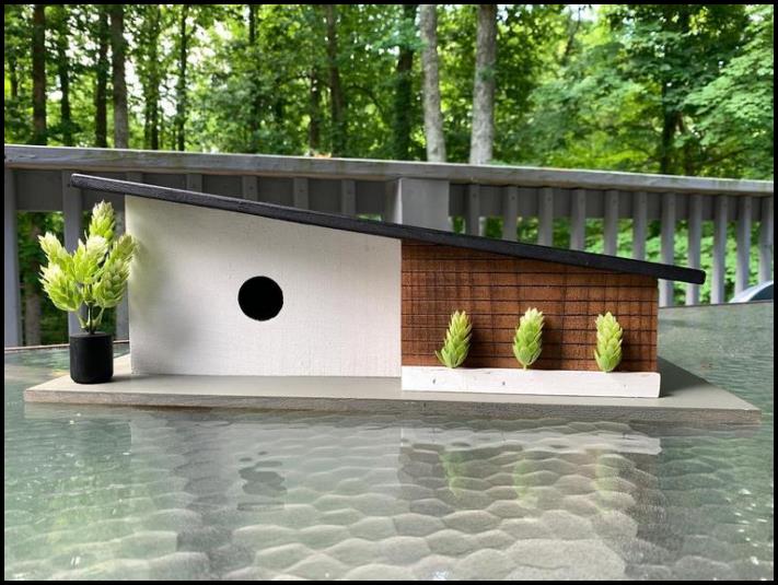 16 մարդ, ովքեր չեն բավարարվում սովորական բաներով, նրանց տվեք ինչ-որ արտասովոր բան