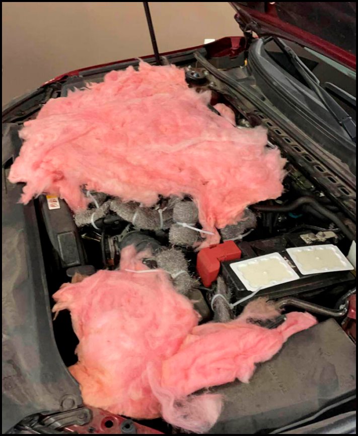 17 մեքենաների սեփականատերեր, ովքեր կարծես մրցակցում են միմյանց հետ, թե ով ավելի շատ կզարմացնի ավտոմեխանիկին