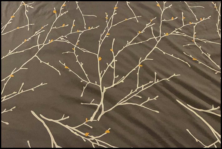 Պատահական, բայց շատ հաջող քողարկումների 16 օրինակ, որոնք մարտահրավեր են նետում մեր ուշադրությանը