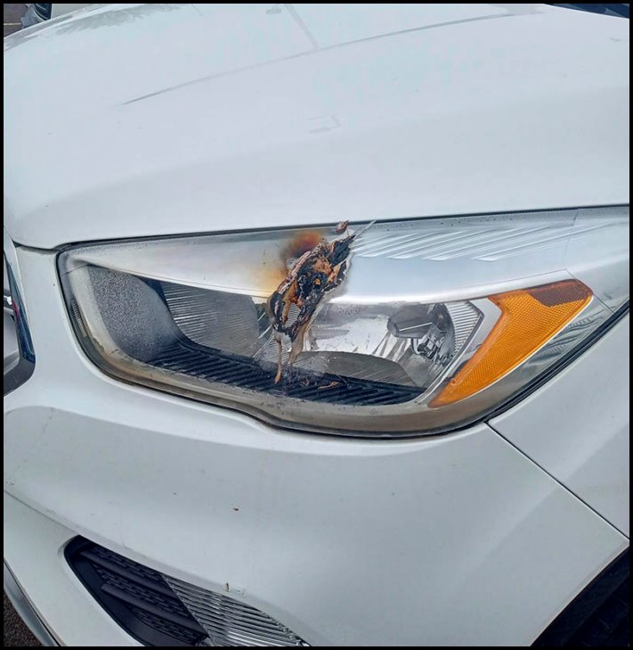 17 մեքենաների սեփականատերեր, ովքեր կարծես մրցակցում են միմյանց հետ, թե ով ավելի շատ կզարմացնի ավտոմեխանիկին