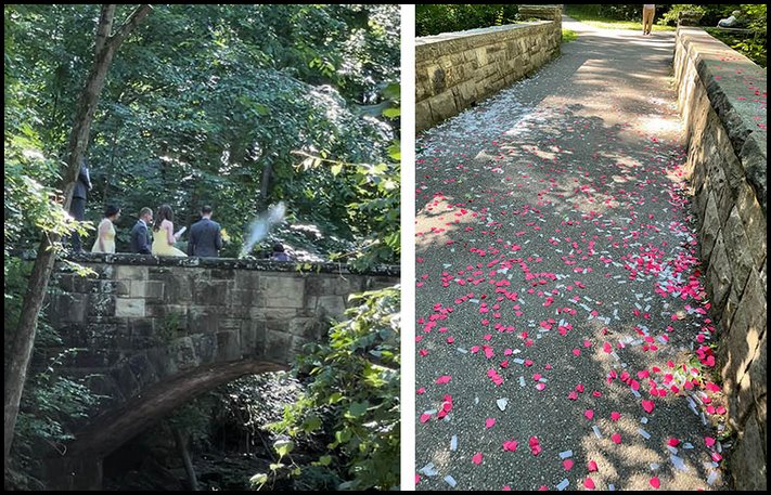 17 այնպիսի իրավիճակ, որից հետո սովորաբար ուսերդ ես թոթվում և ասում. &laquo;Ոչ ամոթ ունեն, ոչ խիղճ&raquo;
