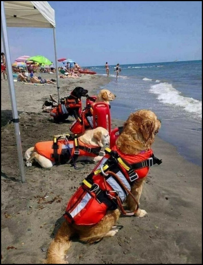 16 շատ արտասովոր առարկաներ, որոնք ոչ միայն հայտնաբերվել են, այլ նույնիսկ լուսանկարվել