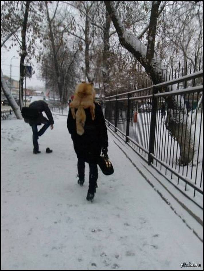 Փողոցային տարօրինակ և անողոք նորաձևության 12 լուսանկար