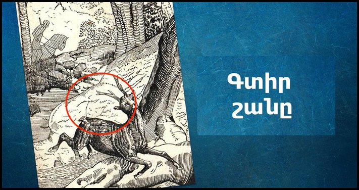 Առաջադրանք սրատես բազեների համար։ Օգնիր գտնել նկարում պատկերված շանը