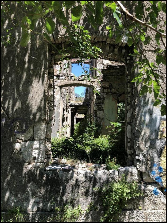 Նկարներ, որոնք կապացուցեն, որ բնությունը հաղթում է քաղաքակրթությանը