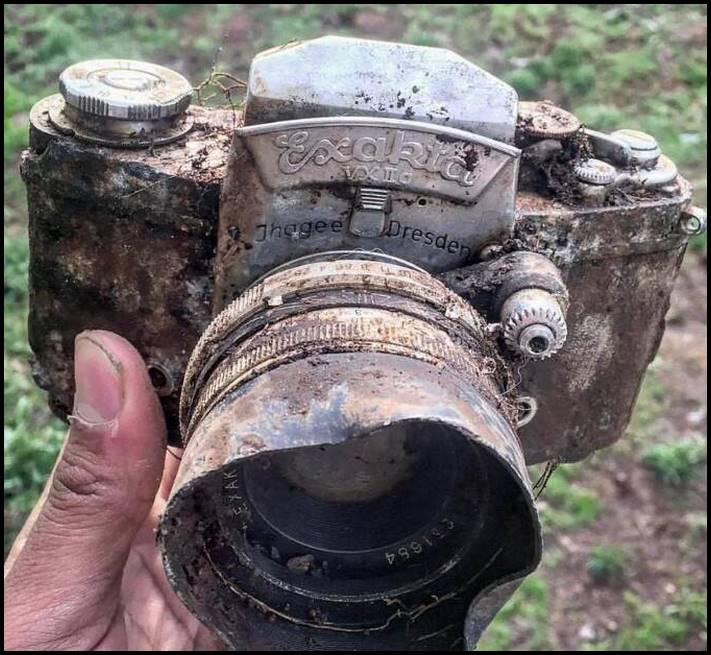 14 ապացույց, որ անտառը շատ գաղտնիքներ և առեղծվածներ է պարունակում