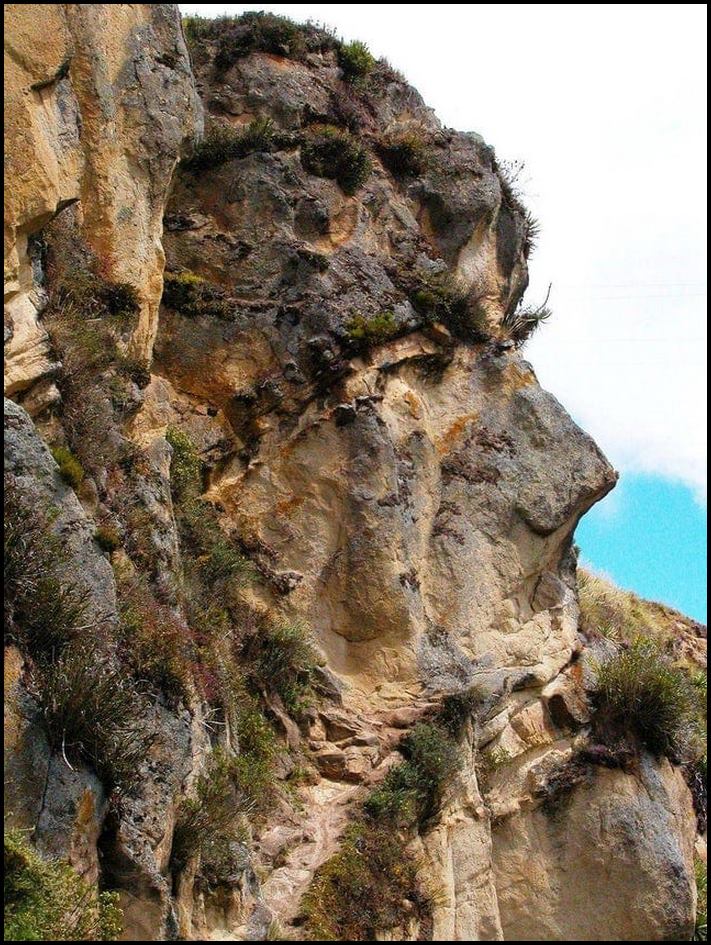 16 դեպք, երբ որոշ իրեր շատ տաղանդավոր կերպով ուրիշ են ձևացել, բայց միևնույնն է բացահայտվել են