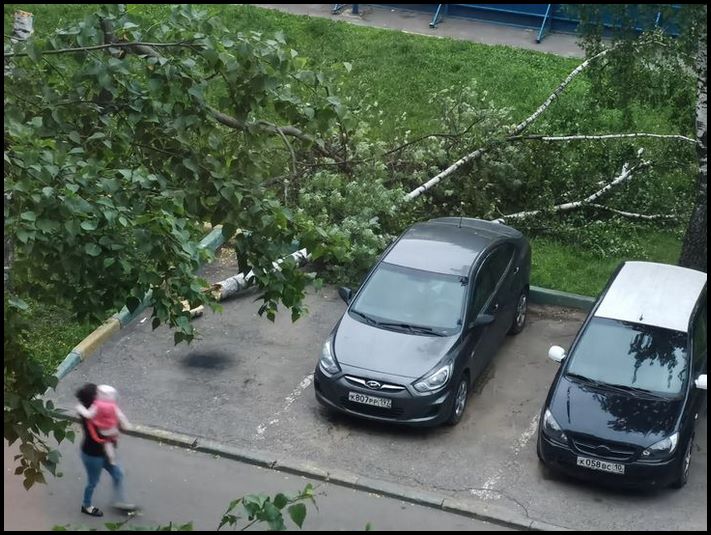 16 լուսանկար, որոնք հաստատում են, որ այն երջանիկ պատահարներն այնուամենայնիվ գոյություն ունեն