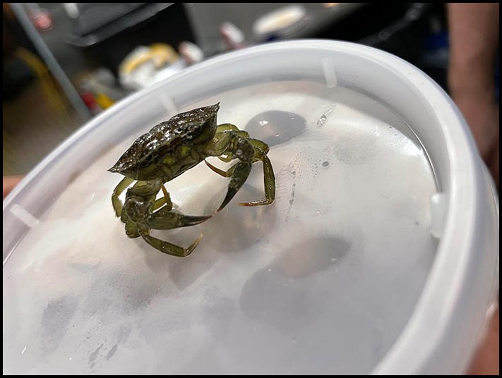 16 լուսանկար, որոնք կբացեն ճաշարանի խոհանոցի դուռը և ցույց կտան, թե ինչ է այնտեղ աշխատելը