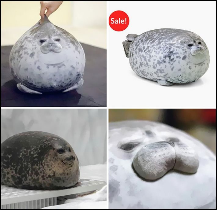 20 իրեր, որոնք, հավանաբար, երբեք չեք տեսել, բայց դեմ չէիք լինի ձեռք բերել ձեզ համար
