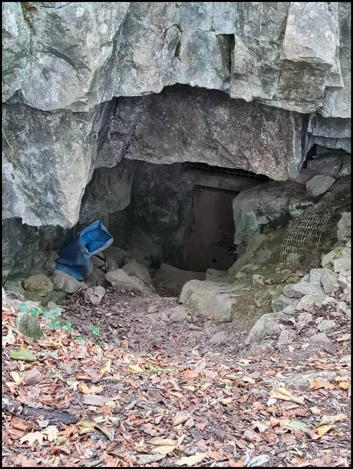 16 անտառային գտածոներ, որոնք ցույց կտան, թե որքան հետաքրքիր բաներ են թաքնված ծառերի մեջ