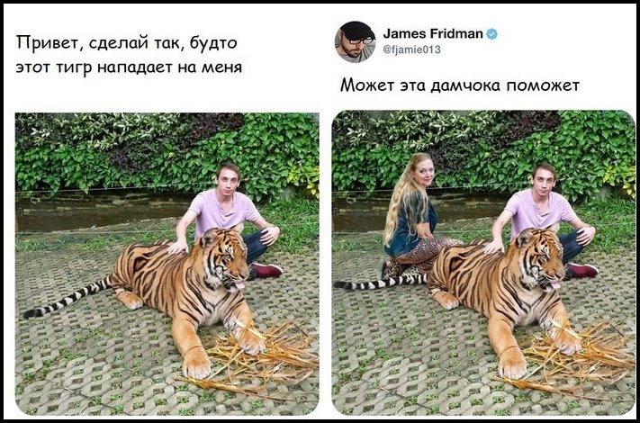 Photoshop-ի վարպետ Ջեյմս Ֆրիդմանը շարունակում է տրոլել հաճախորդներին