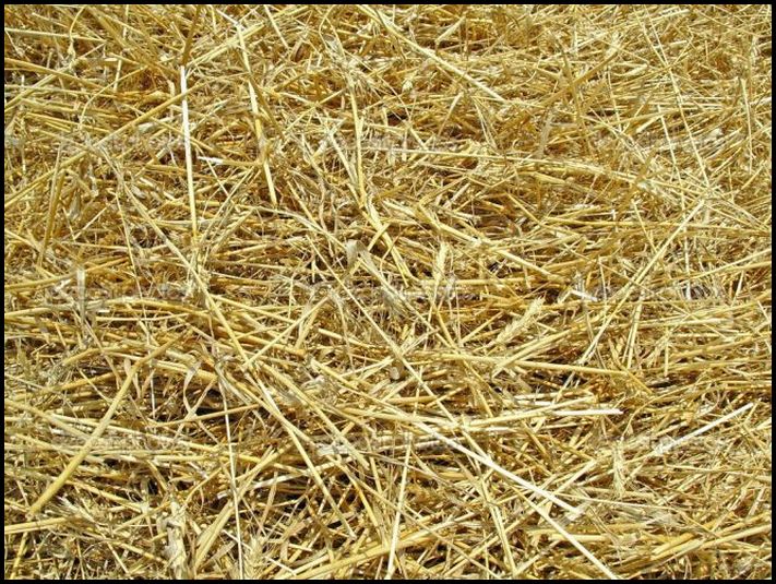 20 լուսանկար, որոնից կարող եք բուրմունք զգալ: Կարոտի մի պահ հաստատ կորսաս