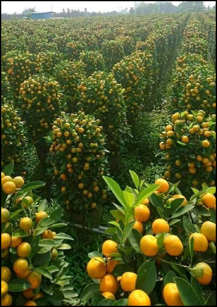 17 զարմանալի նկարներ, որոնք երբեք չեք մոռանա, երբ տեսնեք դրանք